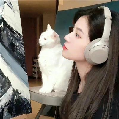 大白鲨2